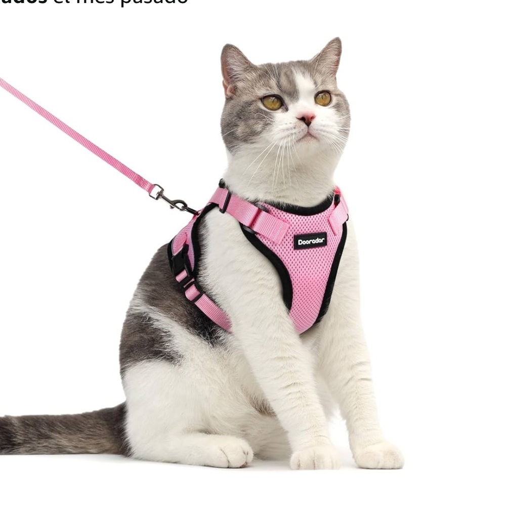 Cat Harness and Leash Set